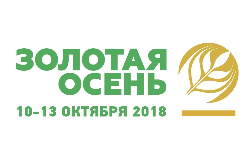 Золотая осень